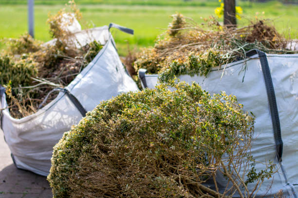 Best Dumpster Rental Services  in Sherman, IL
